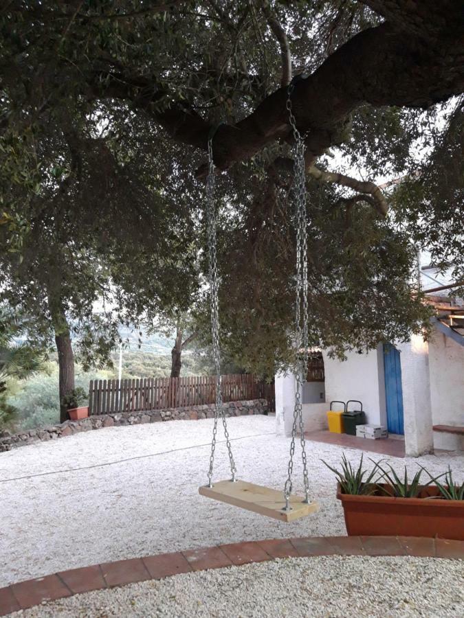 Casa Toloi Apartment Dorgali Exterior photo